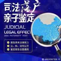 亲子鉴定   DNA检测
