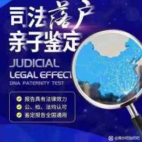 亲子鉴定  DNA检测