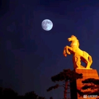 1月20日微语报，星期一，农历腊月廿一，工作愉快，生活喜乐！